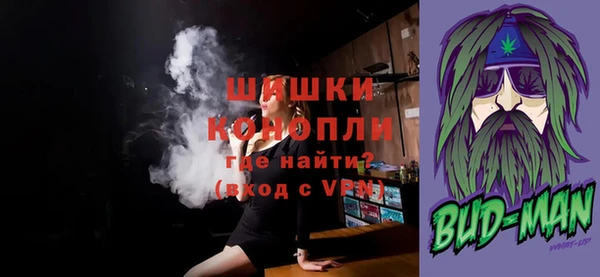 прущие грибы Бородино