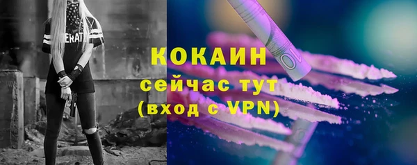 хмурый Богородицк