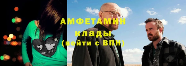 прущие грибы Бородино