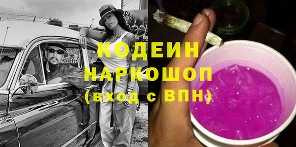 прущие грибы Бородино