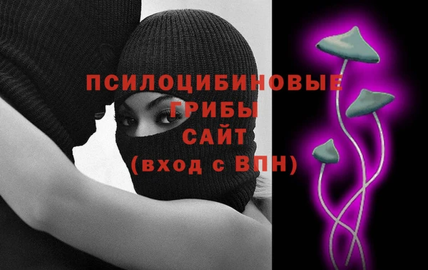 прущие грибы Бородино
