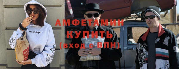 прущие грибы Бородино