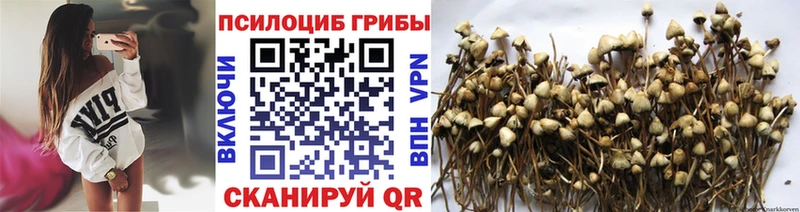 Галлюциногенные грибы GOLDEN TEACHER  blacksprut tor  Демидов 